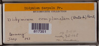 Image Associated With the Occurence